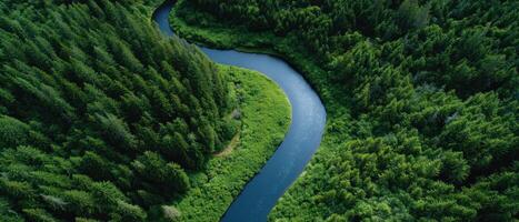 Aerial view of winding river in dense forest nature photography scenic landscape photo