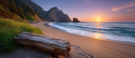 Warm sunset over serene beach with driftwood coastal landscape tranquil evening view photo