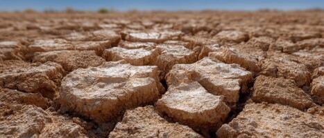 Drought impact on cracked dry earth in summer heat macro shot nature arid environment photo