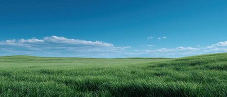 Expansive green grass field under clear blue sky serene nature landscape peaceful environment photo