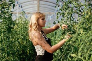 Scissors, in hands. Beautiful woman is in the greenhouse photo