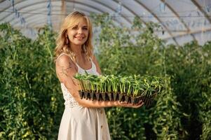Plastic pots ,with, bunch ,of ,,plants. Beautiful woman is in the greenhouse photo