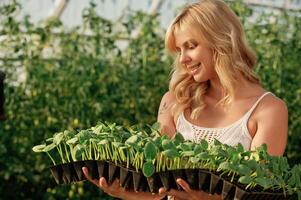 Plants in the row. In plastic pots.. Holding,, in hands. Beautiful woman is in the greenhouse photo