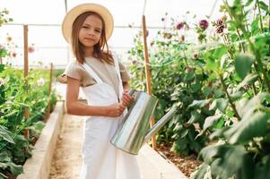 Watering ,the ,plants. Little,,, girl is in the greenhouse photo