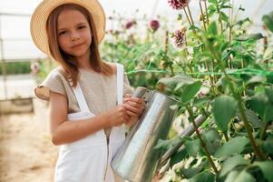 Watering t,he plants. Little girl is in the greenhouse photo