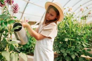 Watering ,the plants. Little girl is in the greenhouse photo
