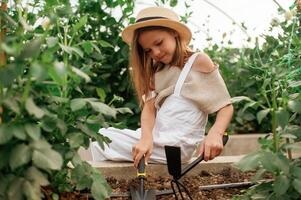 Holding ,garden tools. Little girl is in the greenhouse photo