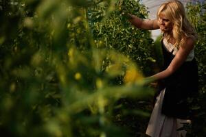 Beautiful, woman is in the greenhouse photo