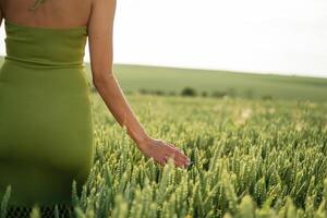 Close up, view of woman hand that is touching the wheat that is growing on the agricultural field photo