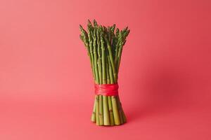 Asparagus bunch with a vibrant red ribbon photo