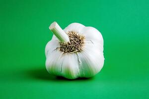 Garlic bulb on a green background photo
