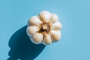 Garlic bulb on light blue backdrop photo