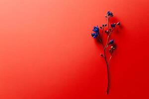 Floral serenity on a striking red backdrop photo