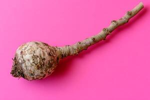 Tuber on pink background against gravity photo