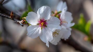 Lifelike Flower on Tree Branch with Perfect Bokeh Backdrop photo