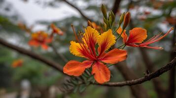 Ultra-Realistic Macro of Tree Flower in Full Detail photo