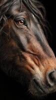 Detailed portrait of a horse showcasing its expressive features and beautifully textured mane in a captivating close-up view photo