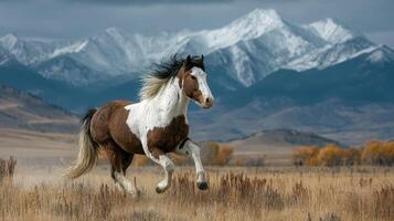 Majestic horse galloping across the plains with snow-capped mountains in the background during a clear daytime photo