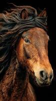 Majestic brown horse with flowing mane captured in portrait against dark backdrop during golden hour light photo