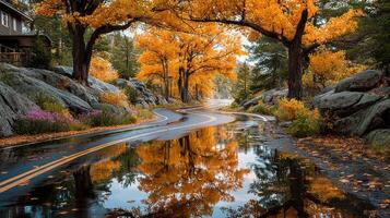 Beautiful autumn landscape with winding road surrounded by vibrant orange trees and reflective water photo