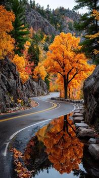 Vibrant autumn colors reflect on a winding road in a serene forest setting photo