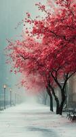 Snow falls gently on a quiet path lined with vibrant pink flowering trees during winter photo