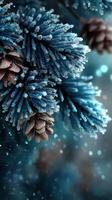 Frost-covered pine branches with cones glistening in winter light sparkles photo