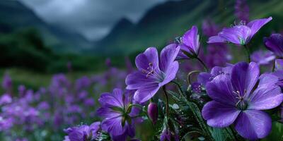 Vibrant purple flowers bloom in a lush valley surrounded by mountains during a cloudy day photo