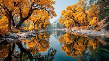 Beautiful autumn landscape with vibrant orange trees reflecting in a calm river at dawn photo