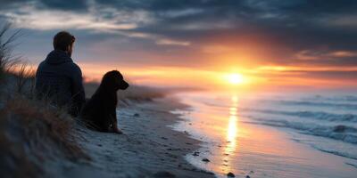 Man and dog enjoy sunset together on a serene beach during early evening in autumn photo