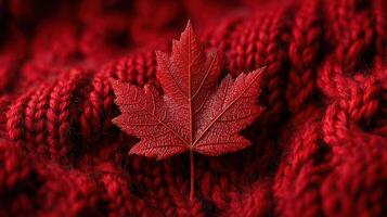 Red maple leaf placed on cozy knitted fabric showcasing autumn colors and textures in a warm indoor setting photo