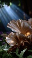 Mushrooms illuminated by rays of light in a mystical forest setting with vibrant ferns and soft textures photo