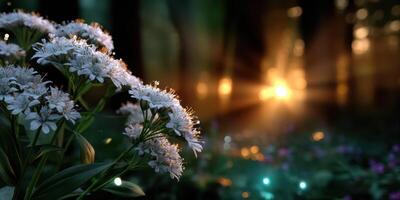 Beautiful white flowers bloom in a forest with golden sunlight illuminating the background during early morning hours photo