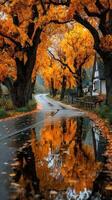 Autumn landscape featuring golden trees reflecting on a wet road in a quiet rural setting photo