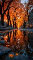 Autumn foliage reflects beautifully in a puddle on a tree-lined street during golden hour photo