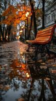 Autumn evening in the park with reflections and warm street lights illuminating the wet path photo