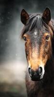 Brown horse with expressive eyes in a blurred natural setting during morning light photo