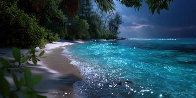 Tranquil ocean shore at night with shimmering waters and serene moonlight casting reflections on the sand photo