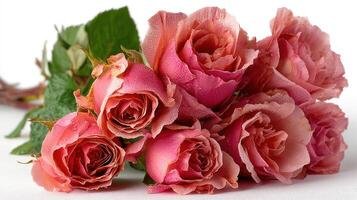 Freshly picked pink roses arranged beautifully with morning dew on their petals photo