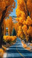 Autumn landscape featuring a winding road lined with vibrant orange trees in a sunny afternoon photo