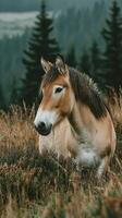 Majestic horse resting in a serene meadow surrounded by tall grass and dark green forest backdrop photo