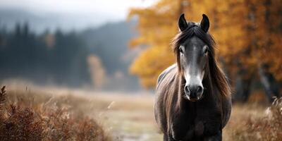 Majestic horse standing in a tranquil field surrounded by autumn foliage in a picturesque landscape photo