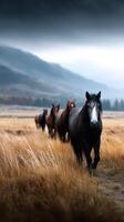 Wild horses roam through golden grasslands under a cloudy sky in a serene landscape setting photo