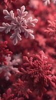 Snowflakes in intricate designs with red and pink hues against a blurred background during winter season photo