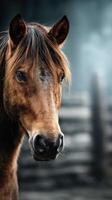 Majestic brown horse stands calmly in front of rustic wooden fence on a misty morning photo