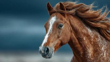 Capturing the beauty of a chestnut horse with flowing mane against a dramatic sky at sunset photo