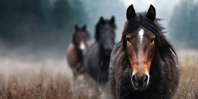 Herd of wild horses gracefully moving through foggy field at dawn in a serene natural landscape photo