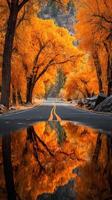 Vibrant autumn colors reflect on a quiet road surrounded by orange trees in a serene landscape photo