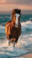 Majestic horse galloping along the shoreline at sunset with waves crashing around it photo