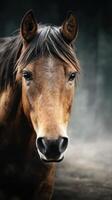 Majestic brown horse stands confidently in a softly lit stable with a textured backdrop photo